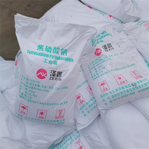 公司實力